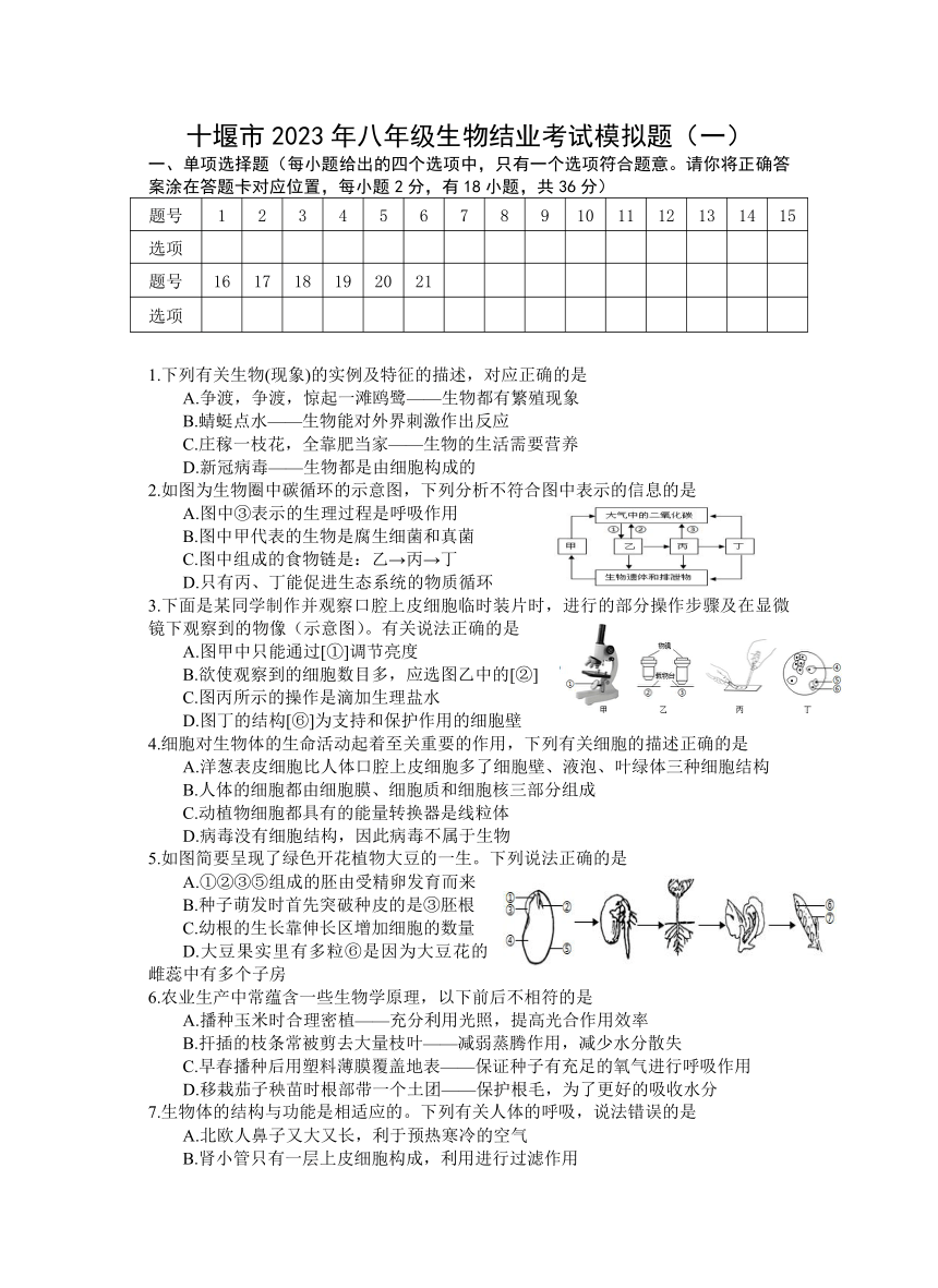 2023年湖北省十堰市中考模拟测生物试题(一)（含答案）