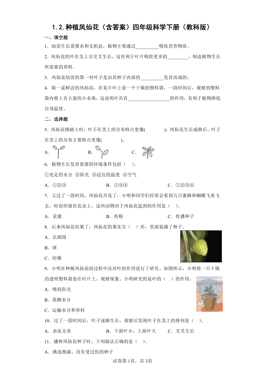 教科版（2017秋） 四年级下册1.2 种植凤仙花 同步练习（含答案）