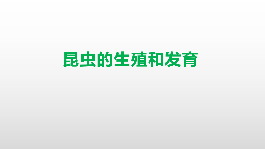 7.1.2 昆虫的生殖和发育课件(共19张PPT)2022`--2023学年人教版生物八年级下册