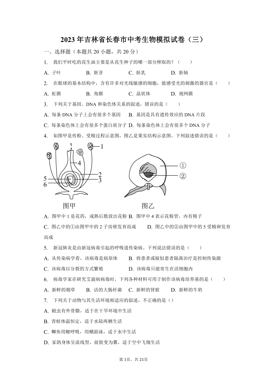 2023年吉林省长春市中考生物模拟试卷（三）（含解析）