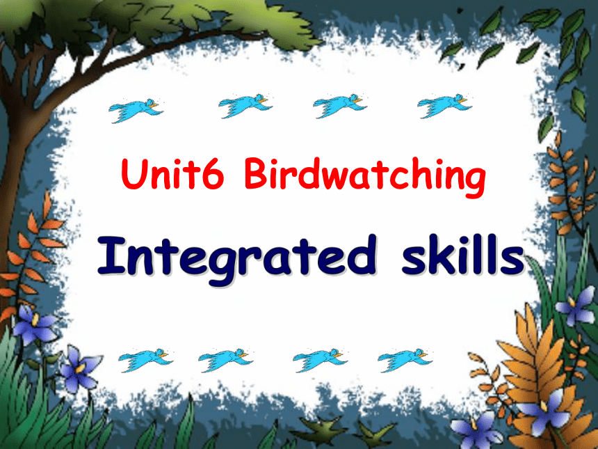 牛津译林版英语八年级上Unit 6 Bird watching integrated skills课件（27张PPT无素材）