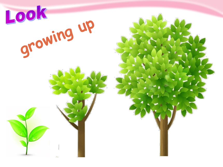 Module 1 Unit 1 Growing up 课件(共32张ppt)