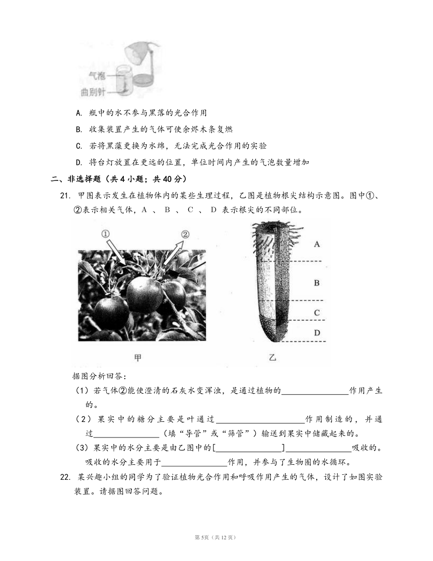 人教版七年级生物上册第三单元第五章 绿色植物与生物圈中的碳—氧平衡检测卷（word版，有答案）