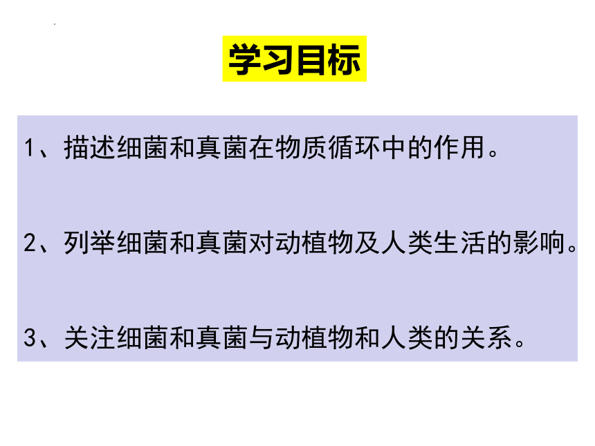 人教版生物八年级上册 5.4.4 细菌和真菌在自然界中的作用  2022-2023学年课件 (共18张PPT)