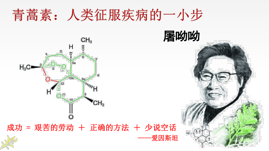 高中语文统编版必修下册7.1《青蒿素：人类征服疾病的一小步》课件 （共39张ppt）