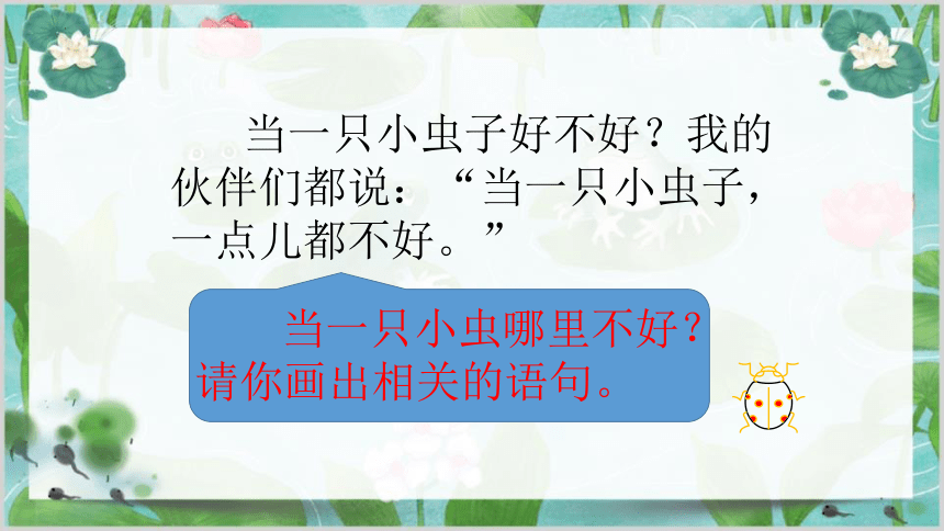 11我是一只小虫子 课件(共27张PPT)