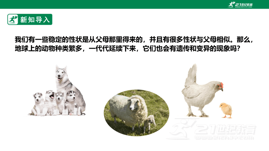 【新课标】4.2《动物的遗传和变异》课件（24张PPT）