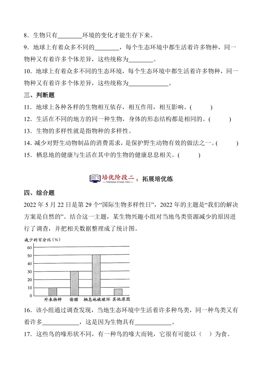 2023-2024学年科学六年级下册（苏教版）第15课多样的生物 同步分层作业（含解析答案）