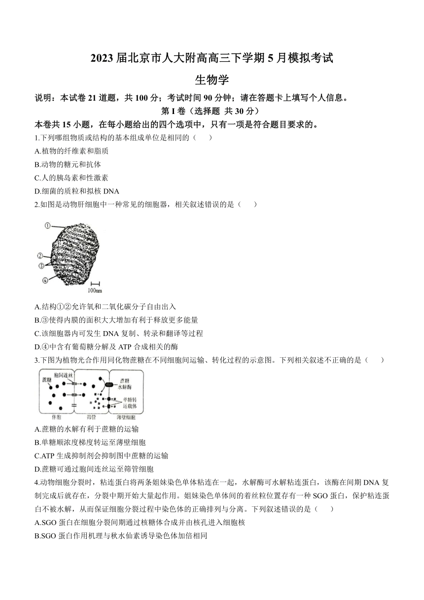 2023届北京市人大附高高三下学期5月模拟考试生物学试题（Word版含答案）