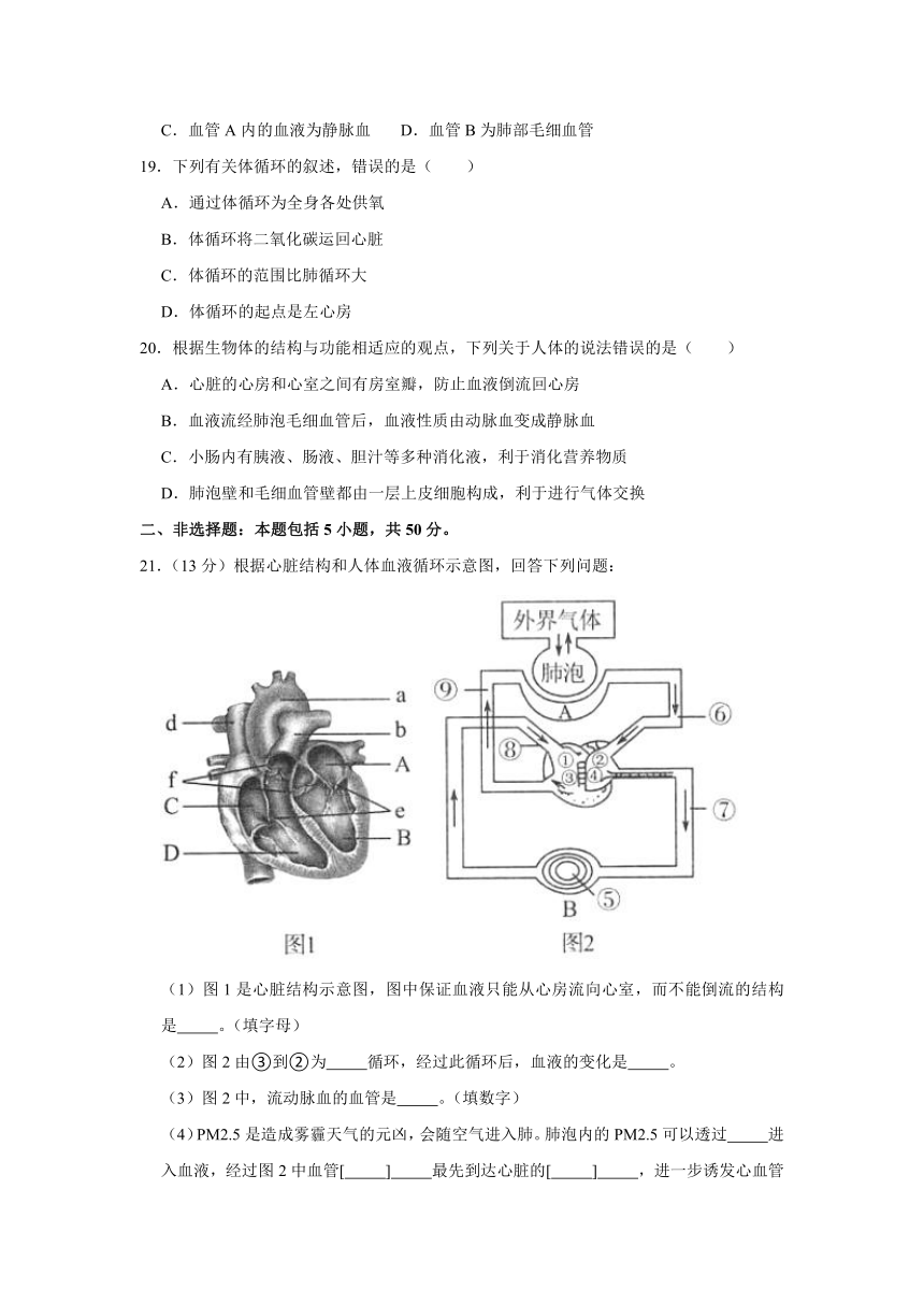 2020-2021学年人教版生物七年级下册第4章 人体内物质的运输测试卷（word版含解析）