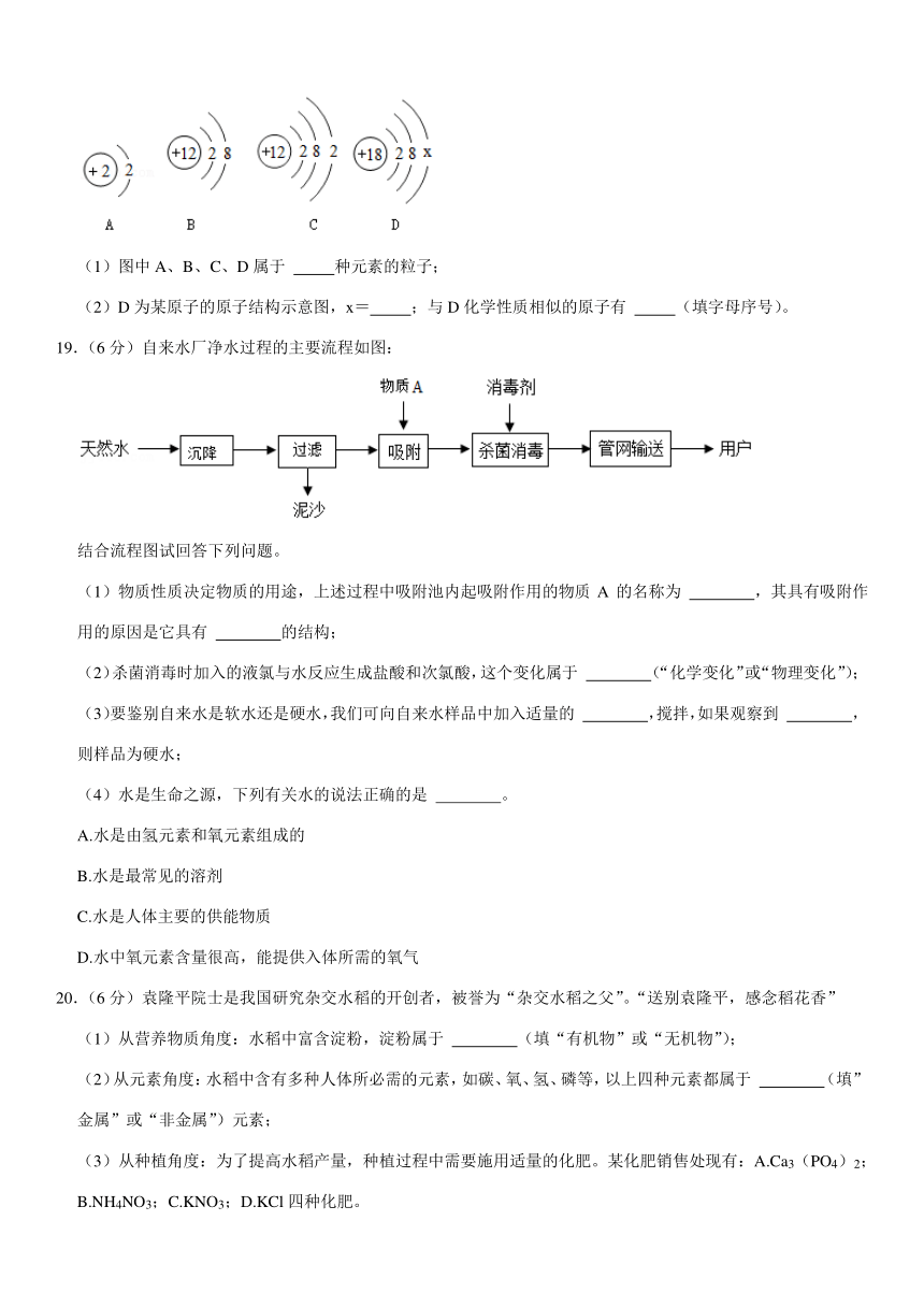 2021年山东省滨州市中考化学试卷(Word+解析答案)