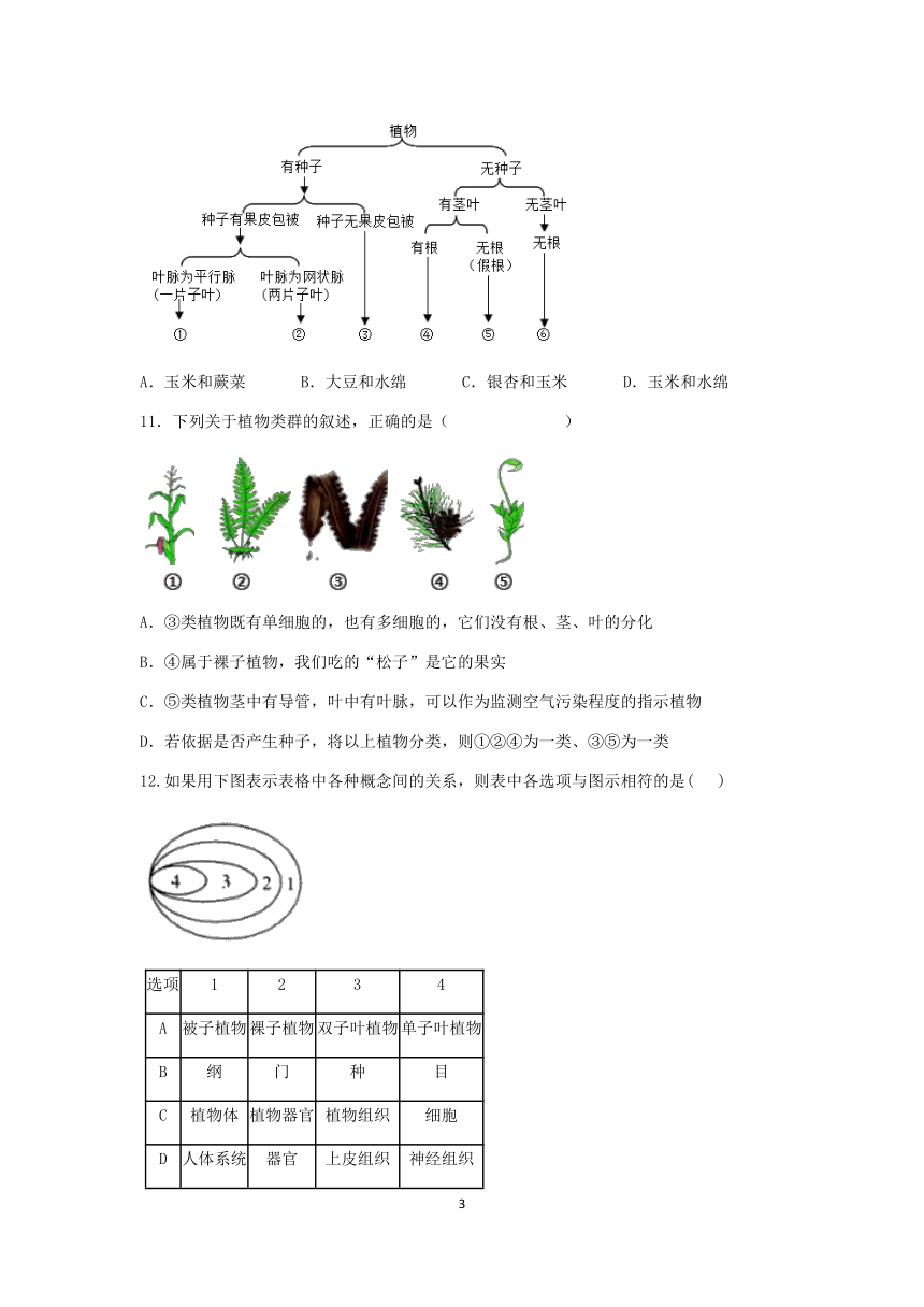 【期末提分】浙教版2022-2023学年上学期七年级科学达标训练（六）：常见的植物【word，含答案】