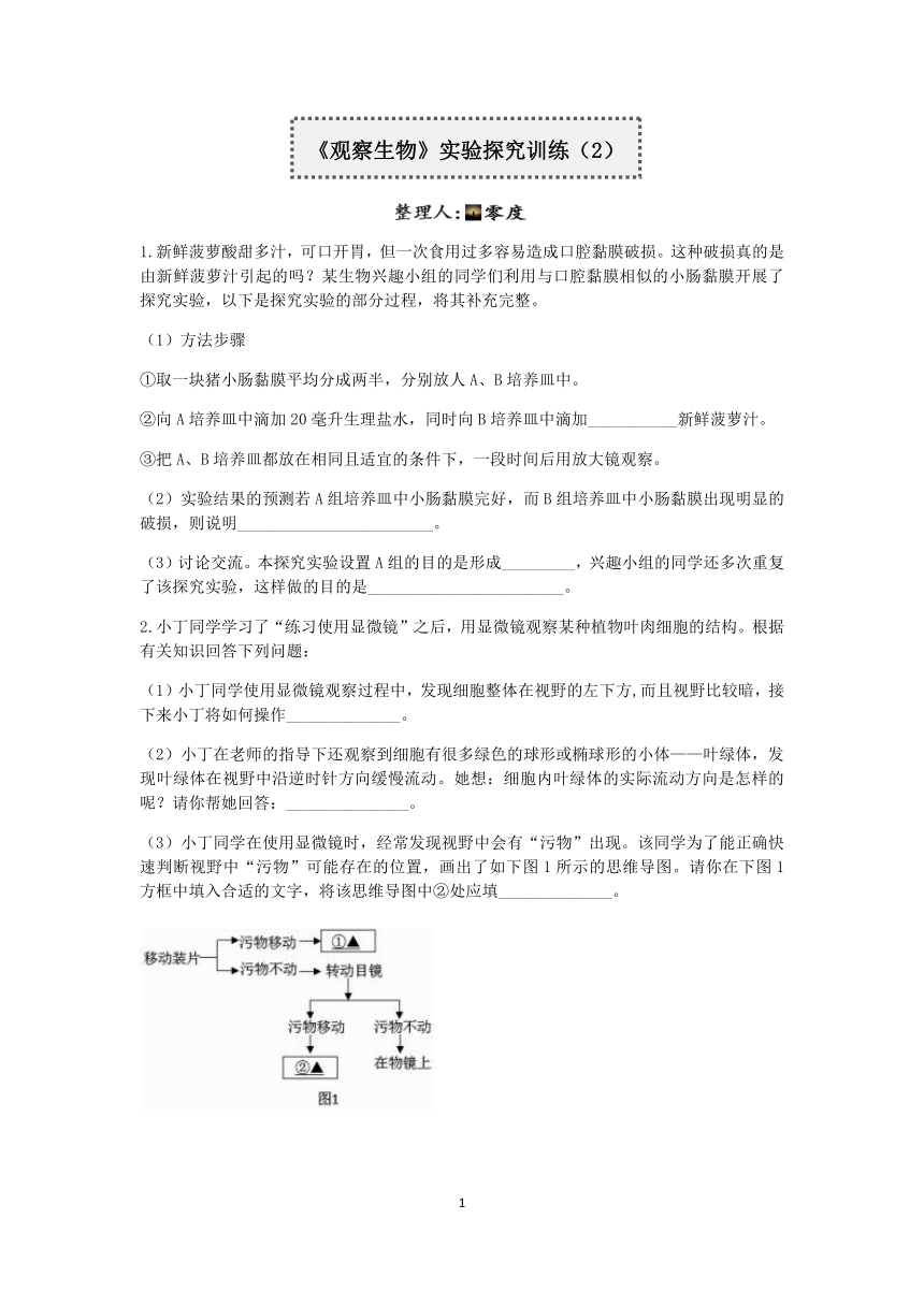 浙教版2022-2023学年上学期七年级科学分类题型训练：第二章《观察生物》实验题（2）【word，含答案】