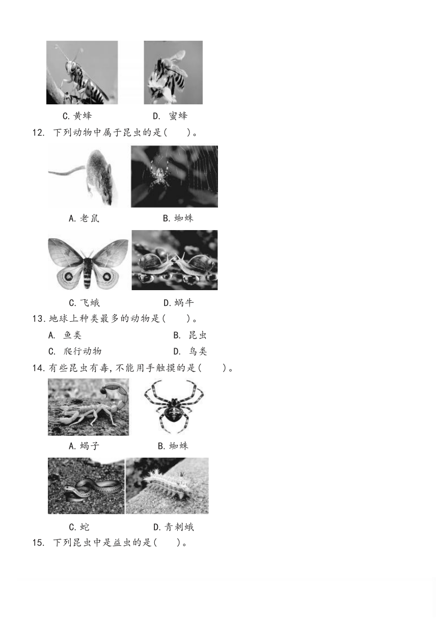 冀人版（2017秋） 三年级下册1.5    昆虫双减分层同步练习（含答案）