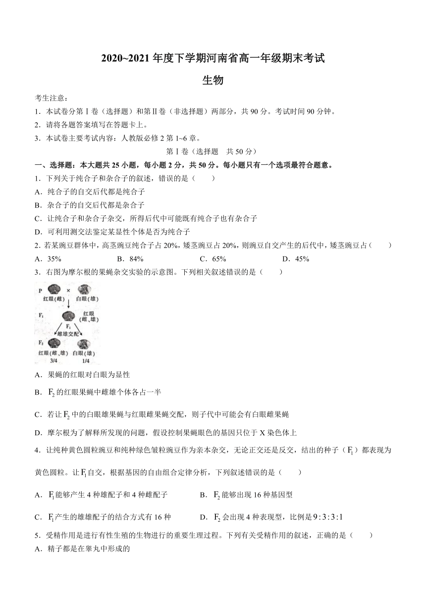 河南省2020-2021学年高一下学期期末考试生物试题 Word版含答案