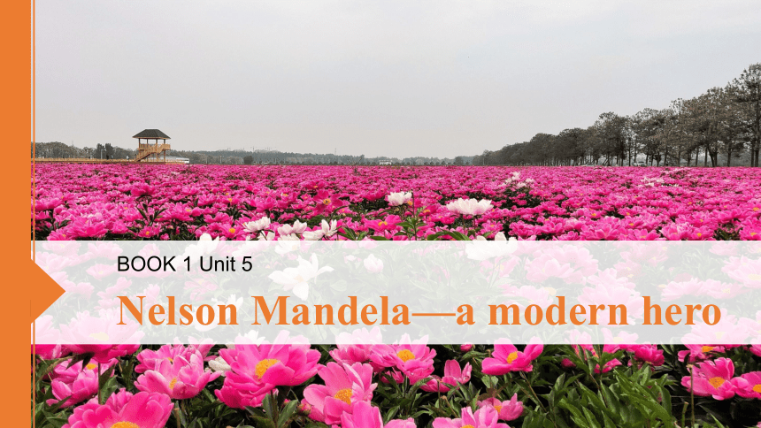 人教版（新课程标准）必修1Unit 5 Nelson Mandel——a modern hero课件（59张PPT）