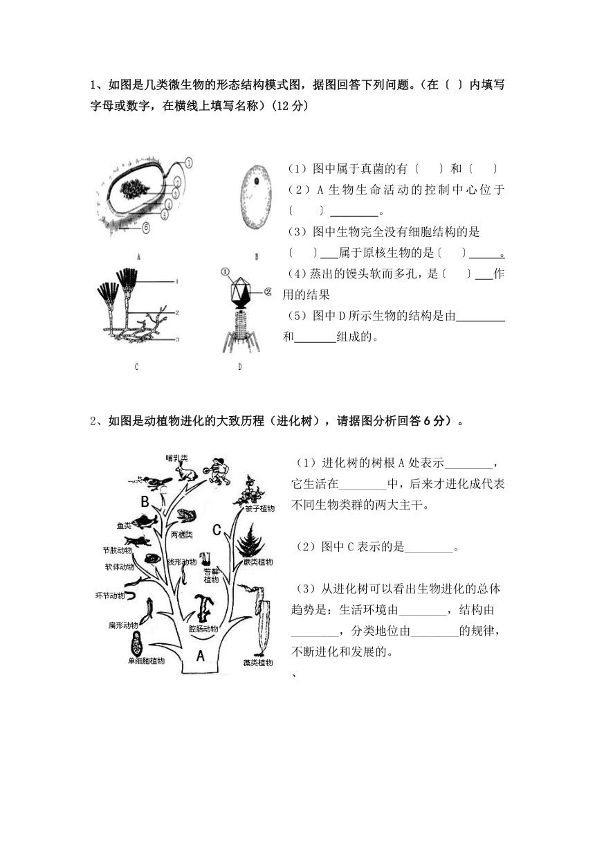 辽宁省朝阳市第七中学2021-2022学年八年级上学期期中考试生物试卷（Word版 含答案）