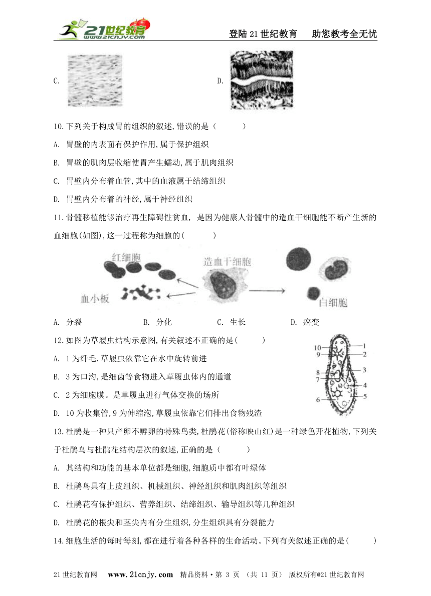 人教版七年级上册生物 第二单元 第二章 细胞怎样构成生物体  综合练习（word版 含解析）