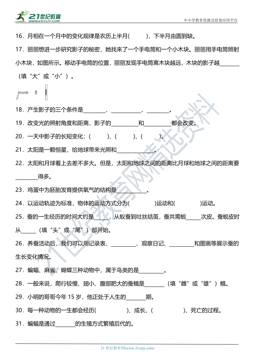 科教版小学科学三年级下册期末复习专项训练题06——填空题（含答案+详细解析）