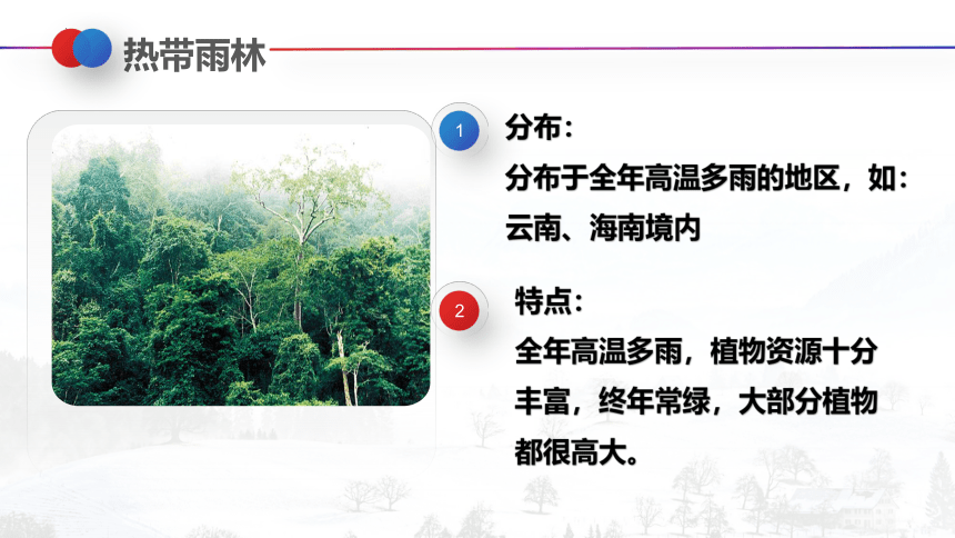 2022-2023学年人教版生物七年级上册 3.6 爱护植被  绿化祖国  课件 (共21张PPT)