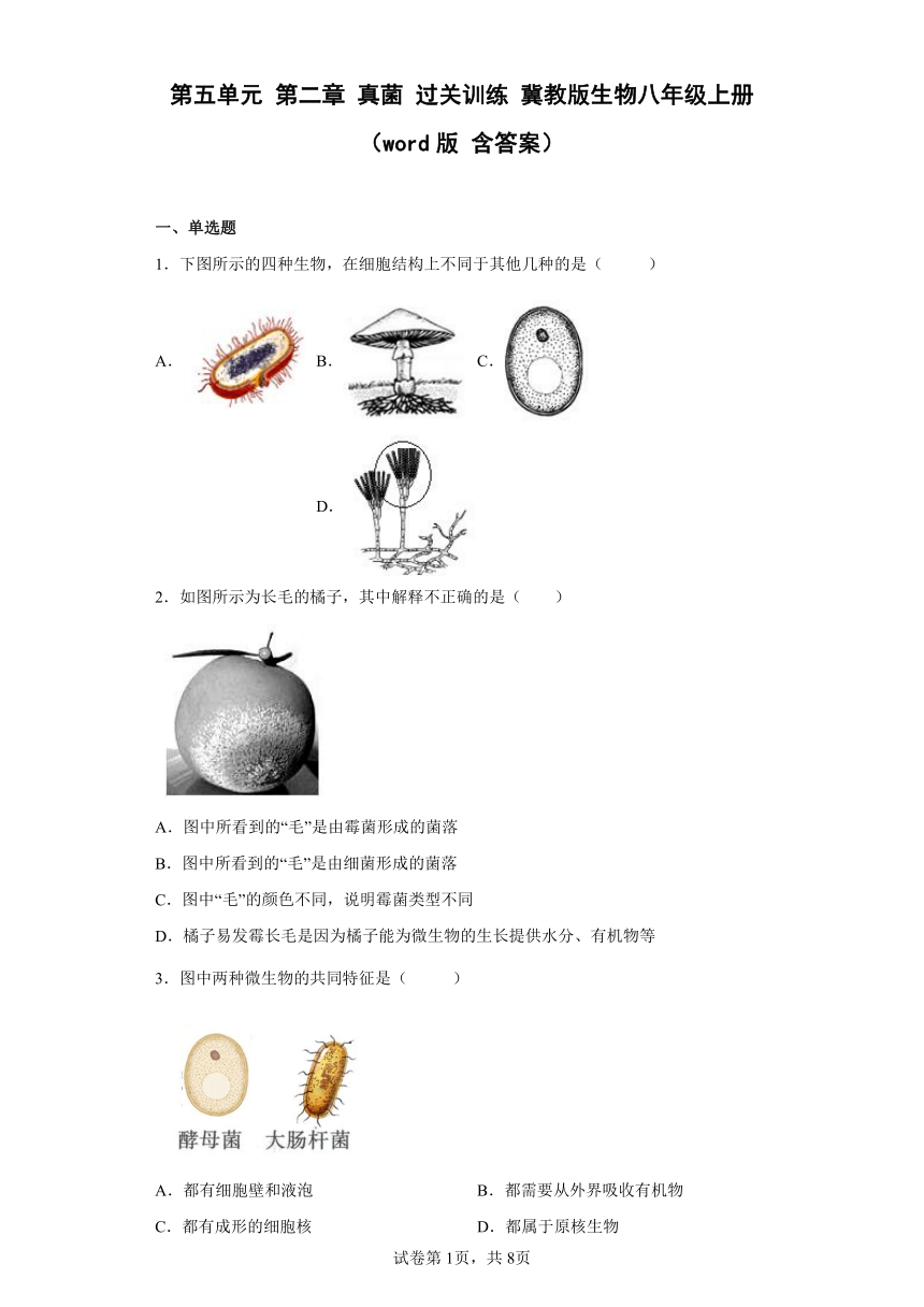 第五单元 第二章 真菌 过关训练 冀教版生物八年级上册 （word版 含答案）