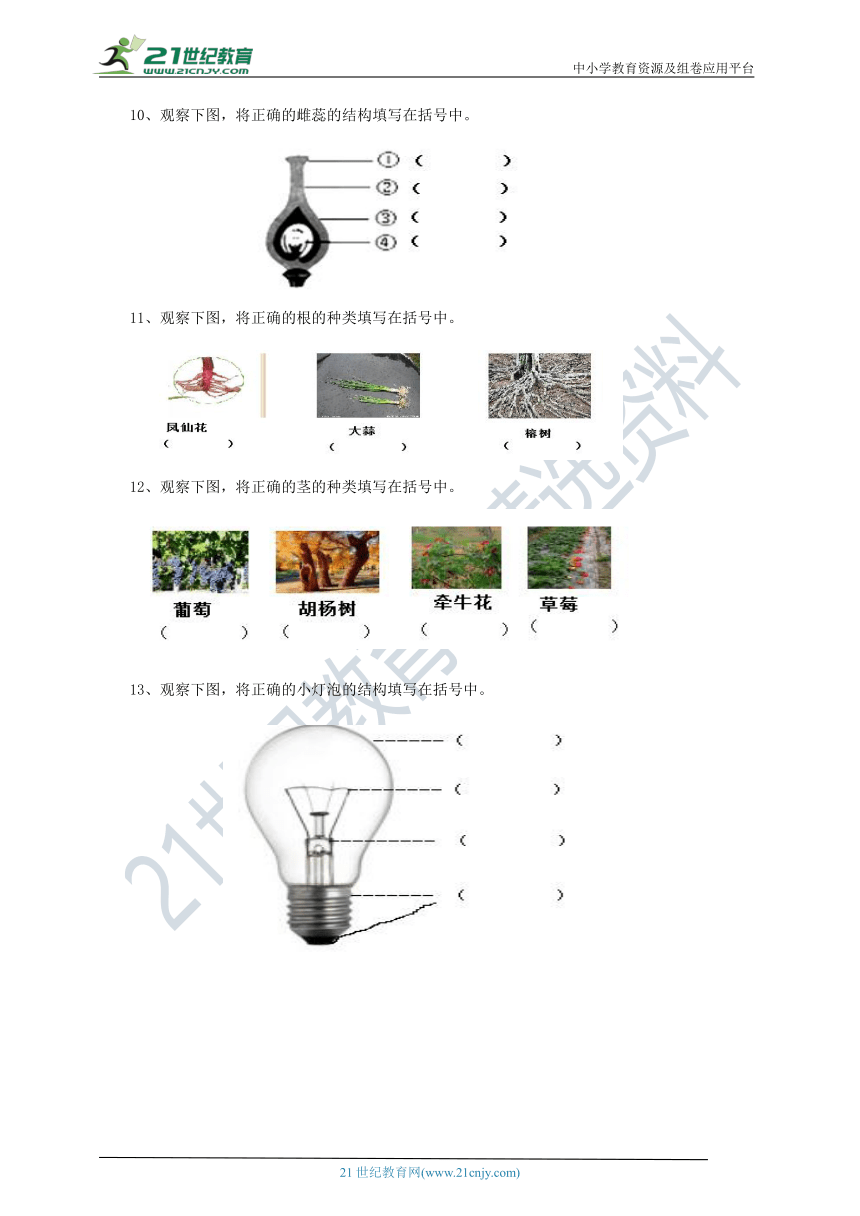 教科版(2017秋）四年级科学下册专项练习之填图题（含答案）