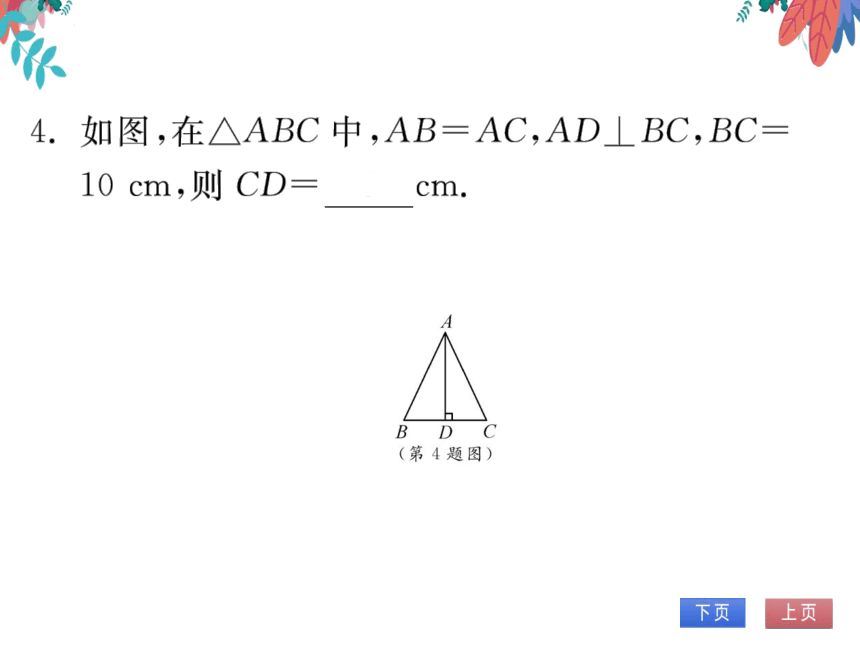 12.2第4课时用“HL”证两个直角三角形全等　习题课件