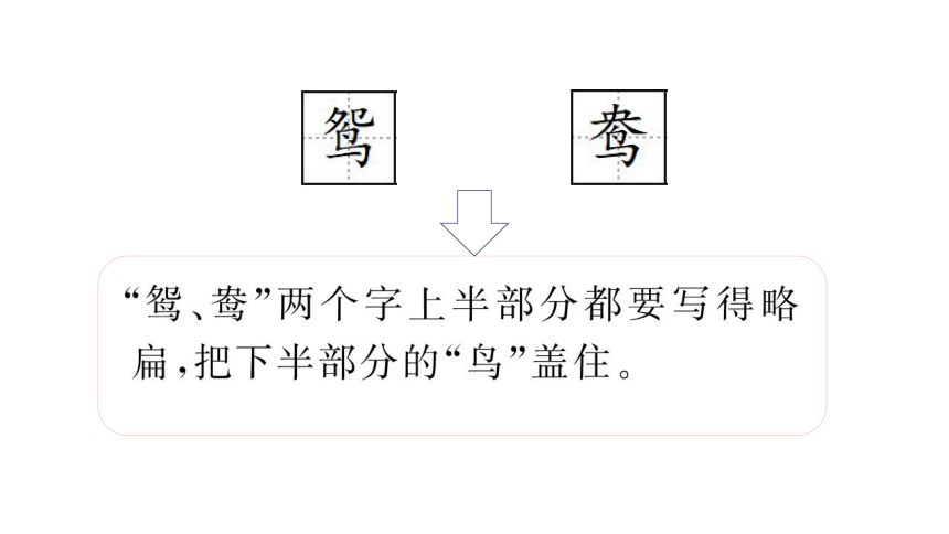 1.古诗三首   课件（38张ppt）