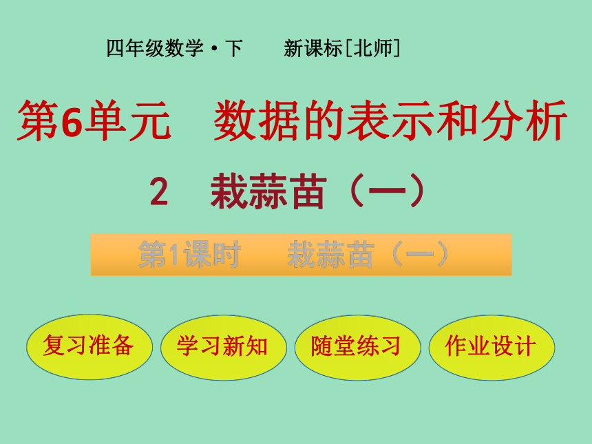 小学数学北师大版四年级下6  栽蒜苗（一）课件（18张ppt）