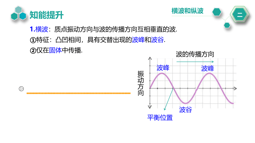 3.1.波的形成课件(共22张PPT)高二上学期物理人教版（2019）选择性必修第一册