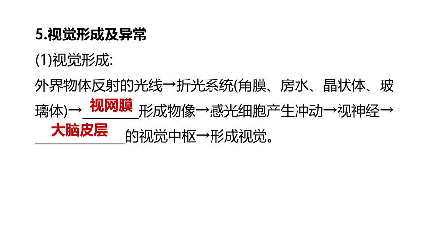 2022年浙江省中考科学一轮复习 第08课时　生命活动的调节（课件 38张PPT）