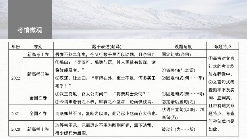 2024届高考一轮复习语文课件(共46张PPT)（新高考人教版）板块五 文言文阅读42 微案2 理解文言特殊句式——抓住标志，翻译落实