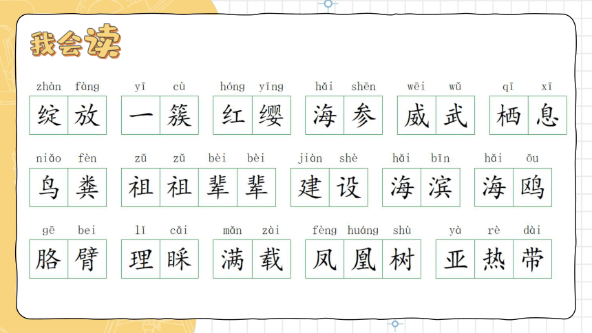 三年级上册语文 第六单元复习课件(共34张PPT)