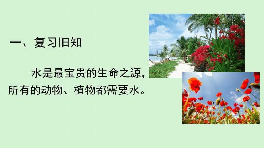 植树节—如何给树浇水第三课时课件(共28张PPT内嵌音视频)全国通用一年级下册综合实践活动