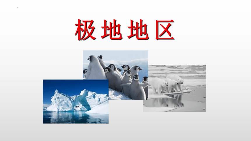 第十章极地地区 课件（共26张PPT)2022-2023学年人教版地理七年级下册