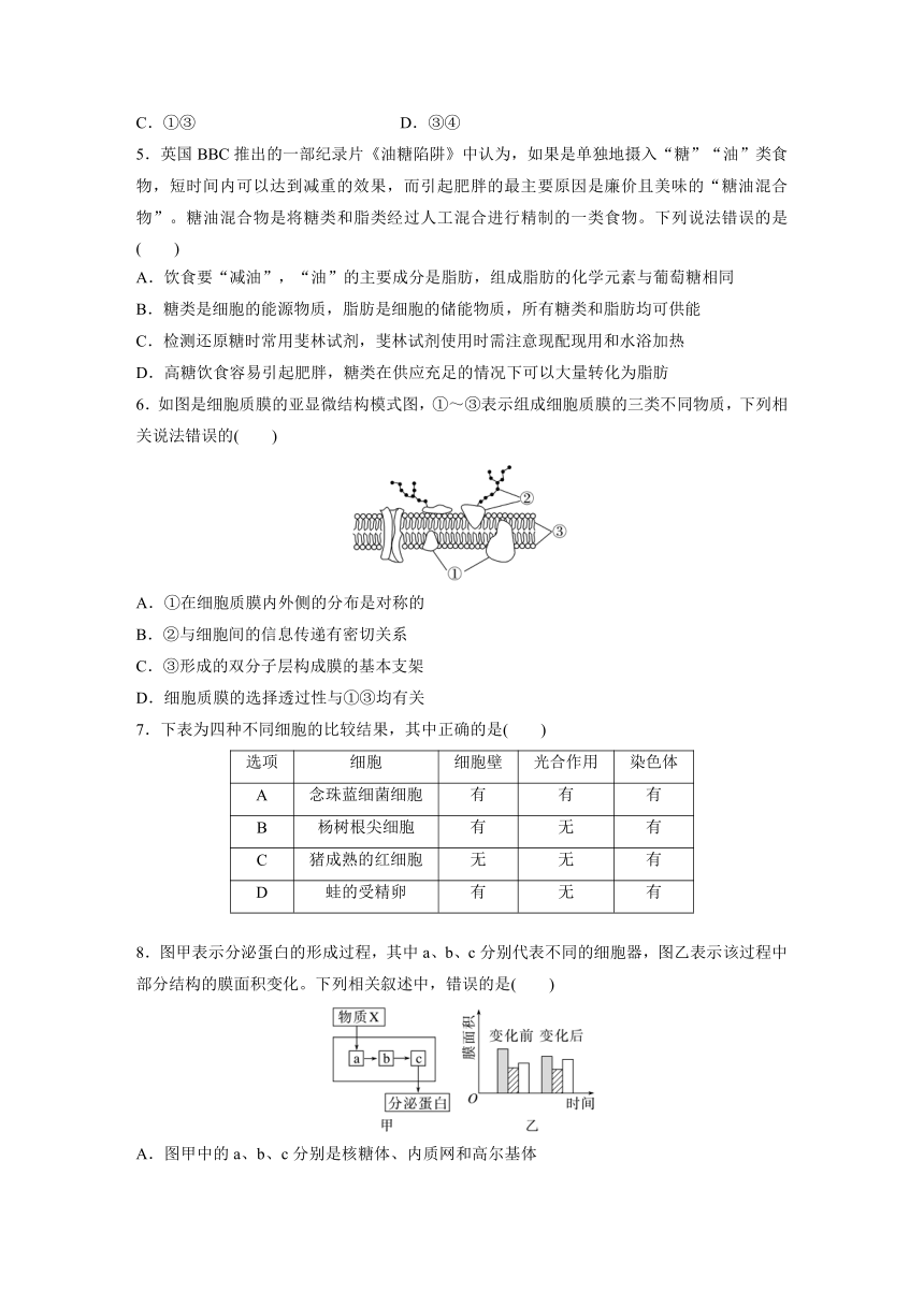 2022-2023学年苏教版2019高中生物必修1 模块检测试卷(一)（word含解析）