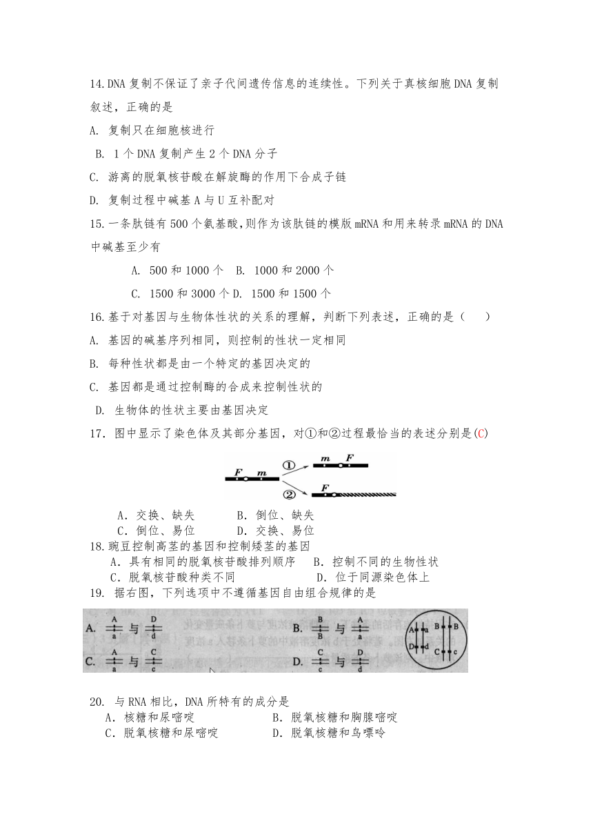 吉林省吉林市江城中学2020-2021学年高一下学期期末考试生物试题 Word版含答案