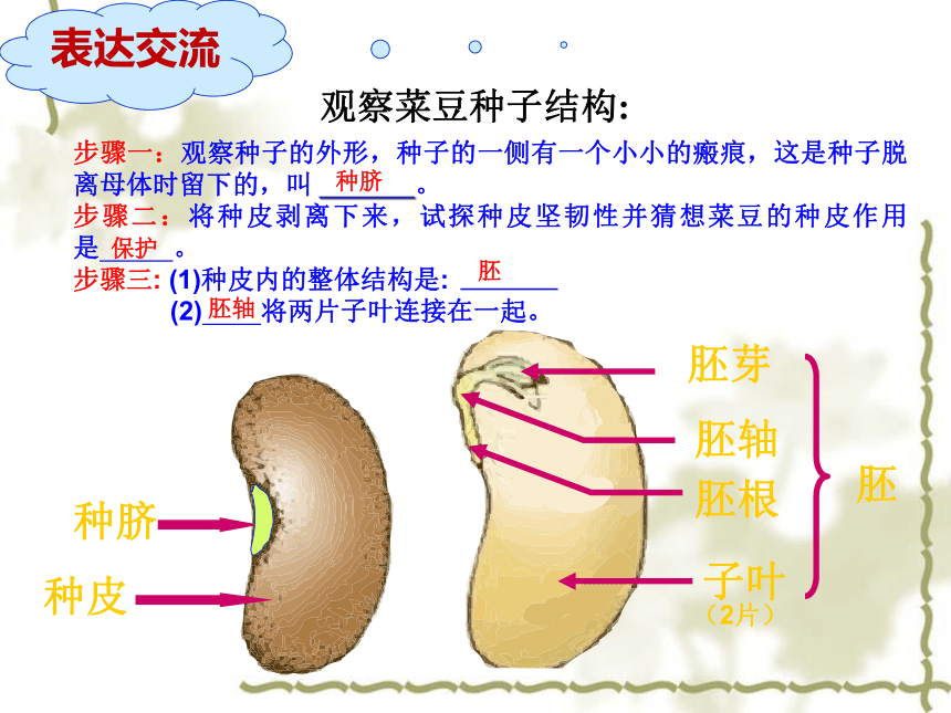 2022-2023学年北师大版生物学七年级上册 3.6.1.种子萌发形成幼苗  课件 (共46张PPT)