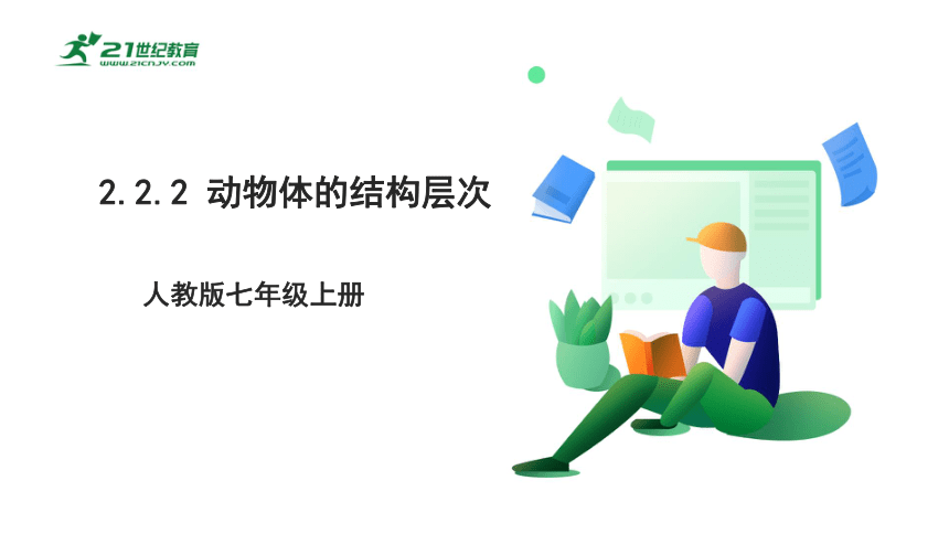 2022-2023学年七年级生物上册2.2.2 动物体的结构层次-同步课件(共28张PPT)