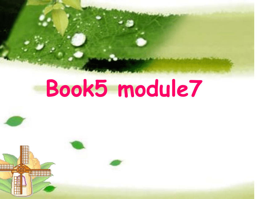 外研版 必修5 Module 7 Revision (vocabulary)教学课件 (共25张PPT)
