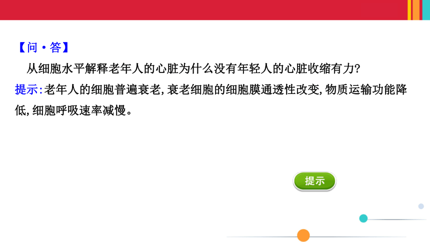 （新人教）生物必修一课件：6.3细胞的衰老和死亡(共35张PPT)