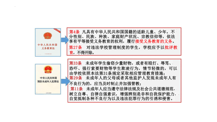 7.2 自由平等的追求 课件(共22张PPT)-2023-2024学年统编版道德与法治八年级下册