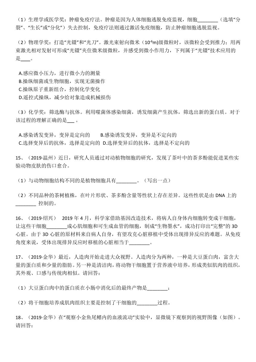 2021年中考科学单元同步(真题集中训练)总复习 中考科学真题集训二 观察生物（含解析）