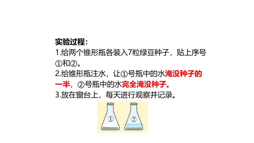 大象版（2017秋） 四年级下册1.1我们的豆苗（课件17ppt+内含练习）