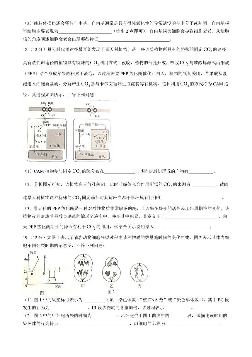 江西省赣州市十八县（市）二十四校2023-2024学年高一下学期期中考试生物试卷（含解析）