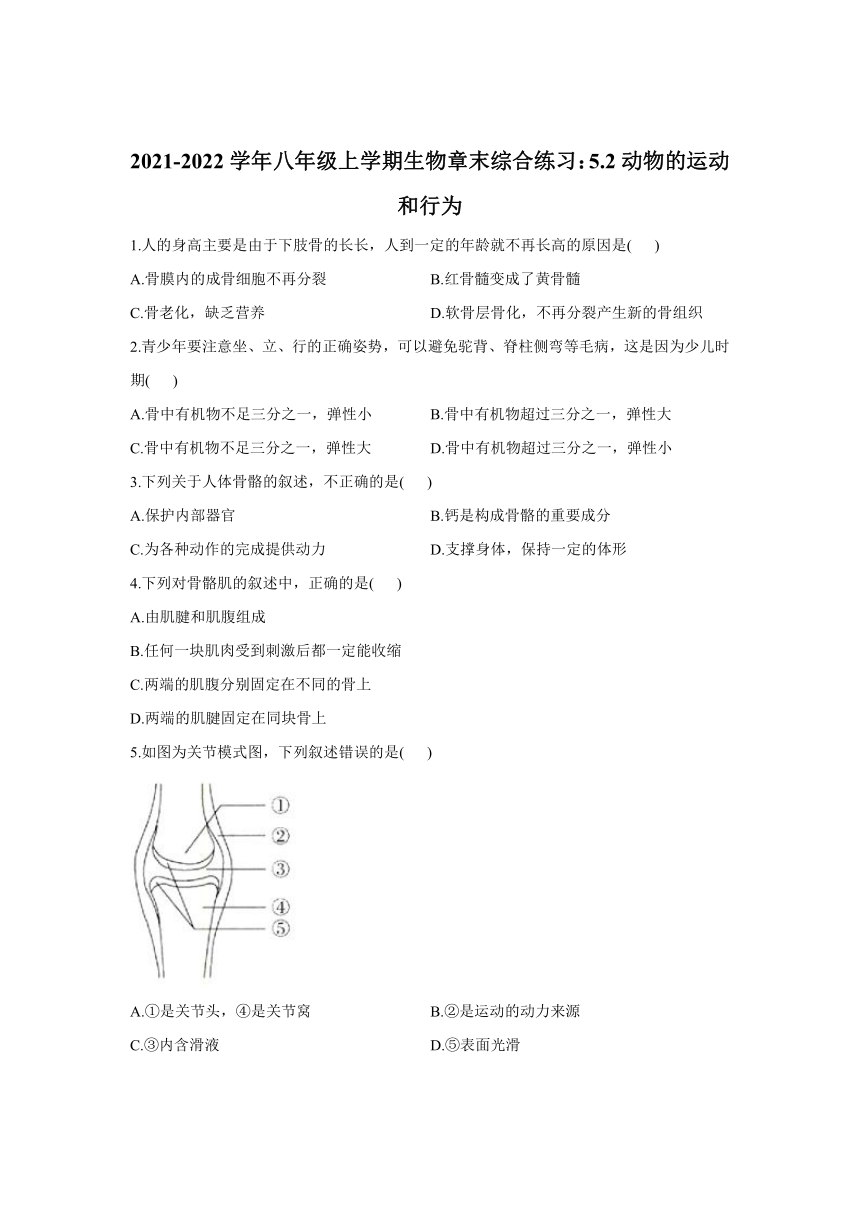 2021-2022学年人教版生物八年级上册 5.2动物的运动和行为 章末综合练习  （含解析）