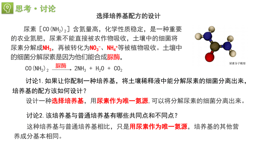 1.2.2微生物的培养技术及应用课件2(共29张PPT)022-2023学年高二下学期生物人教版选择性必修3