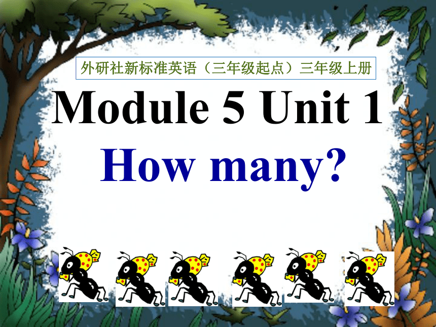 Module 5 Unit 1 How many？ 课件(共25张ppt）