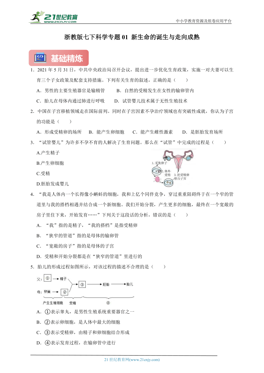 浙教版七下科学期中专题01 新生命的诞生与走向成熟（含答案）