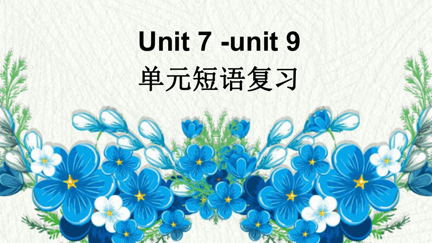 七下英语Unit 7-Unit 9 单元短语 复习课件(共20张PPT)